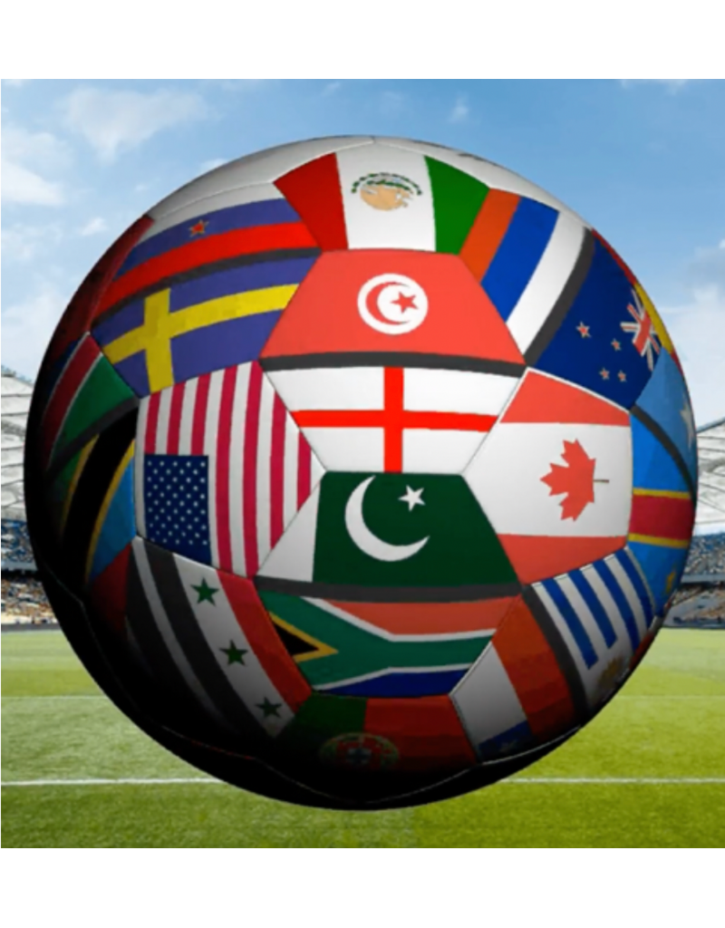 Volo 2026 FIFA Flag Mini Soccer Ball