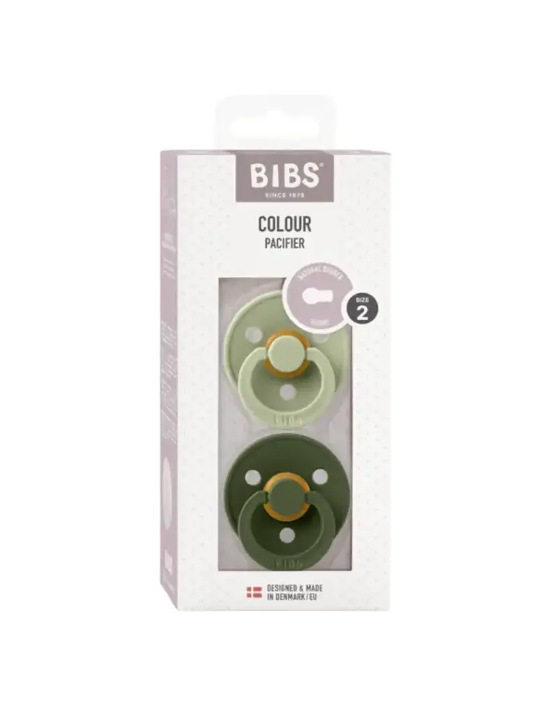 Bibs BIBS Pacifier 2pk 18-36m, Sage/Hunter Green