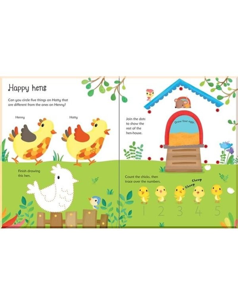 Usborne Farm Activities Wipe Book