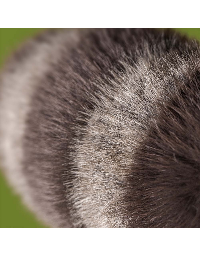 Jellycat Trixiwoo Raccoon