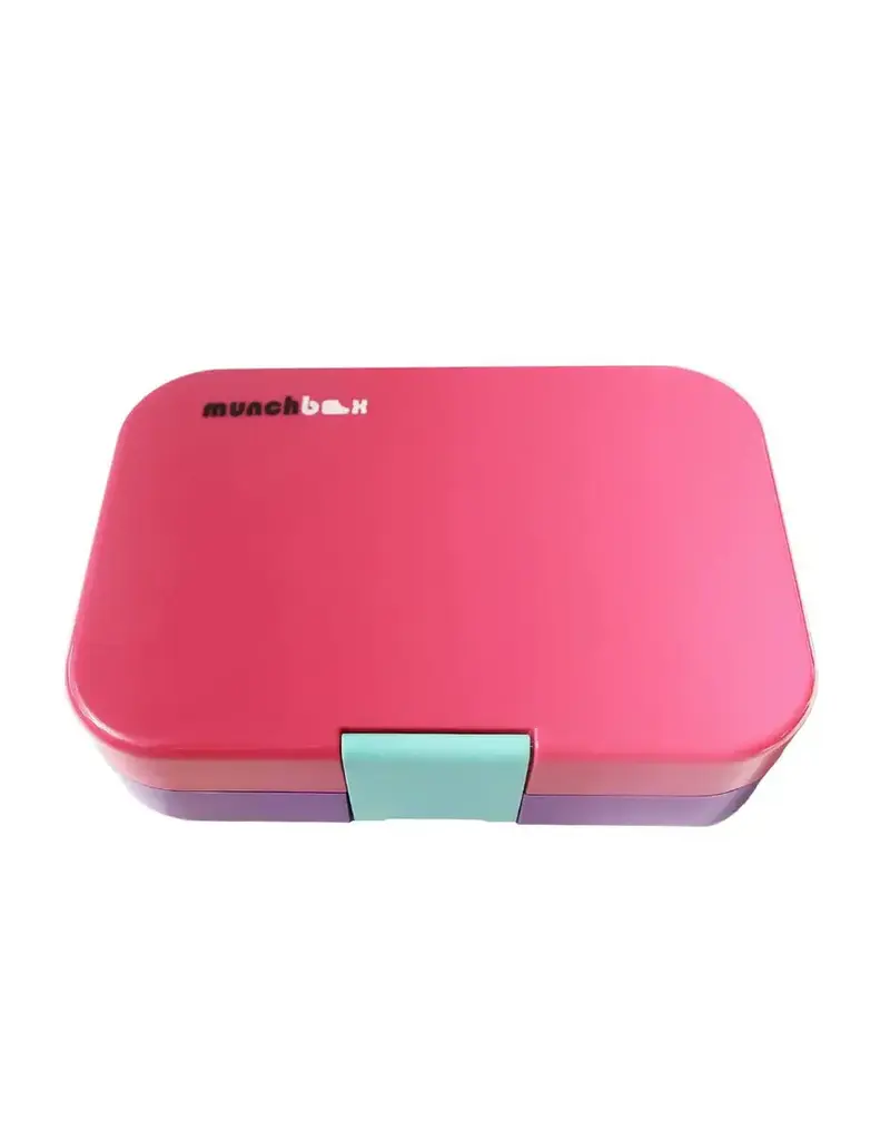 Mini 4 Lunchbox - Berry Blitz