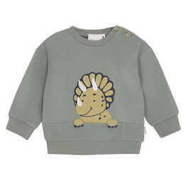 Dino Toddler Sweatshirt