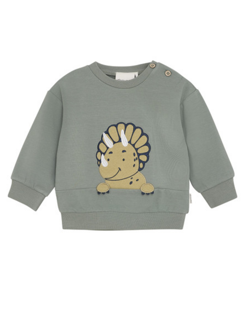 Dino Toddler Sweatshirt