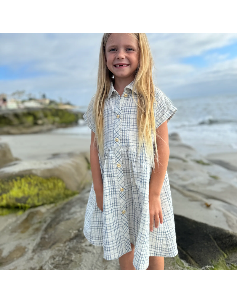 Vignette Heather Blue Plaid Seersucker Dress