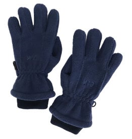 Blue Fleece Gloves 3-5y