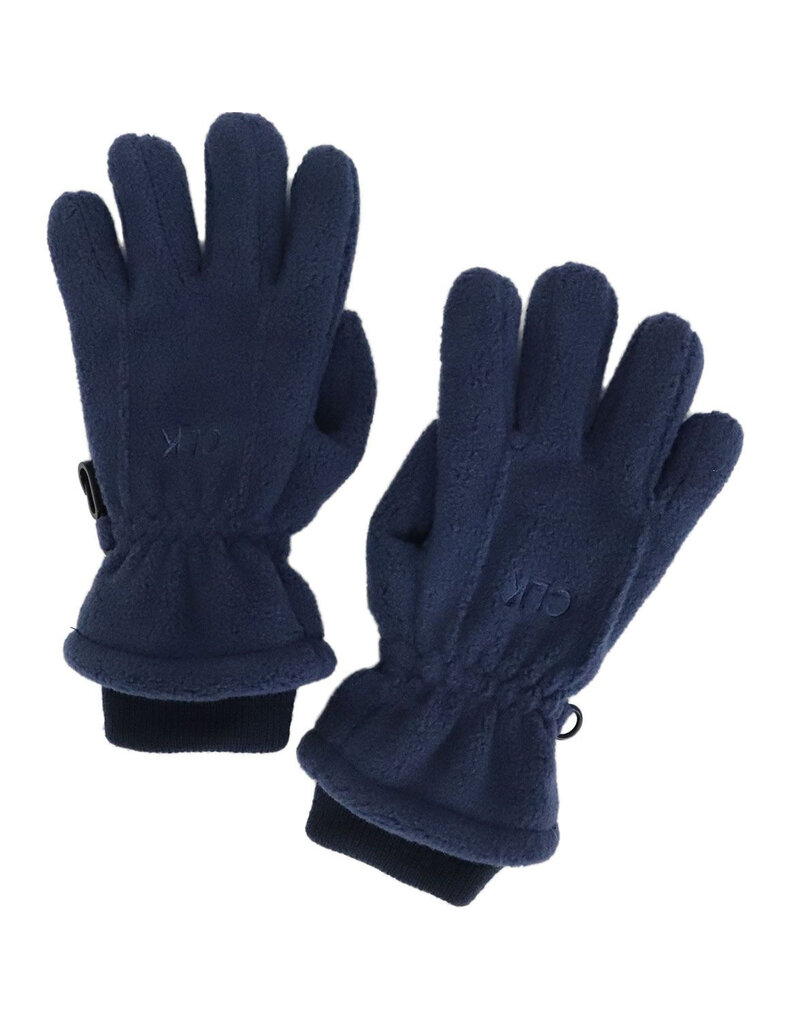 Blue Fleece Gloves