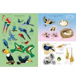 Usborne Little First Stickers Birds 3y+
