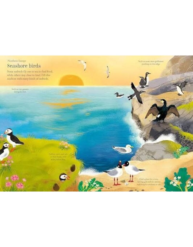 Usborne Little First Stickers Birds 3y+