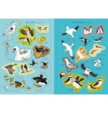 Usborne Little First Stickers Birds 3y+