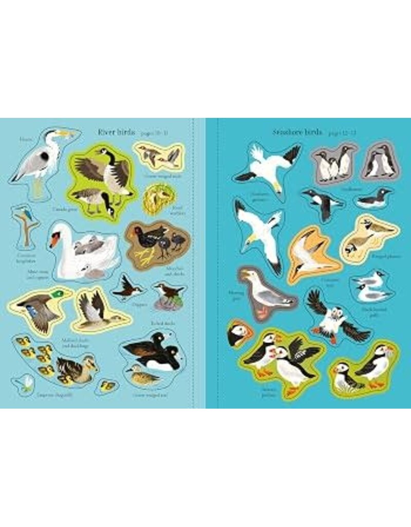 Usborne Little First Stickers Birds 3y+