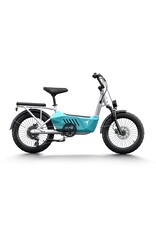 Himiway Himiway Cargo Ebike C3