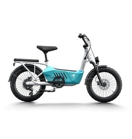 Himiway Himiway Cargo Ebike C3