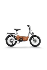 Himiway Himiway Cargo Ebike C3