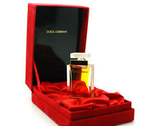 Dolce Gabbana For Women Parfum Le Parfumier Perfume Store