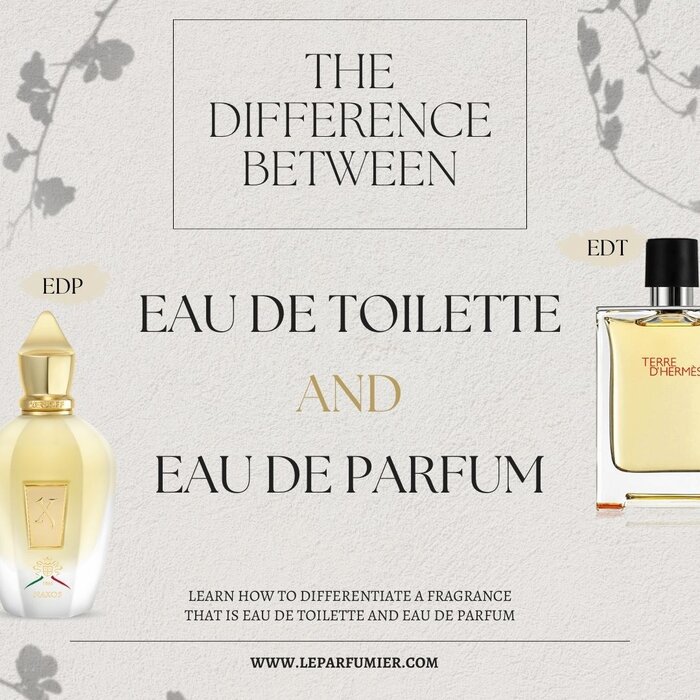 What is the Difference between Eau de Parfum and Eau de Toilette?