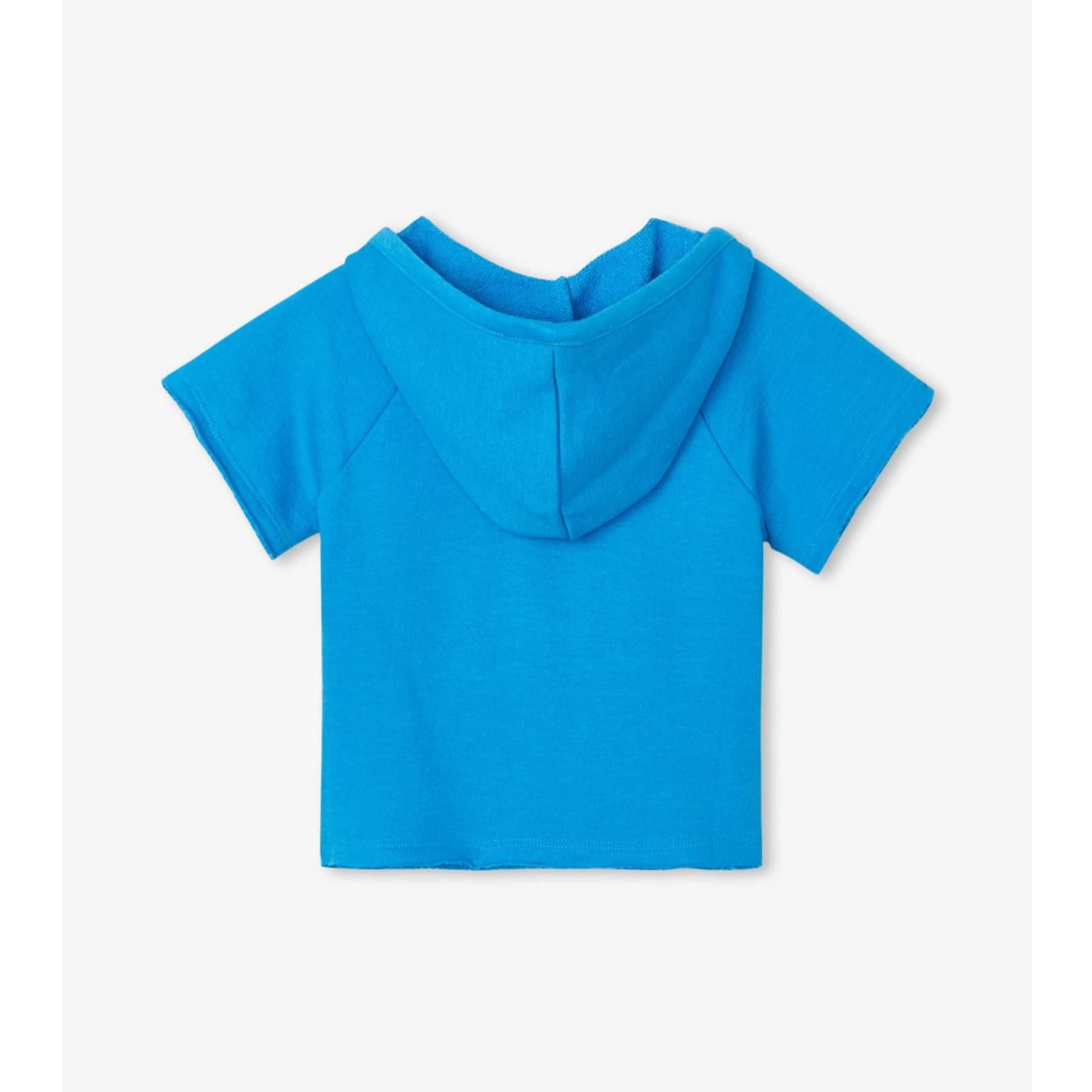 HATLEY GREEN DINO BABY PULLOVER HOODIE