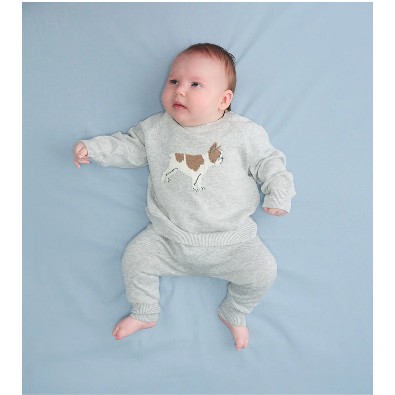 HATLEY LITTLE BULLDOG BABY SWEATER & PANTS
