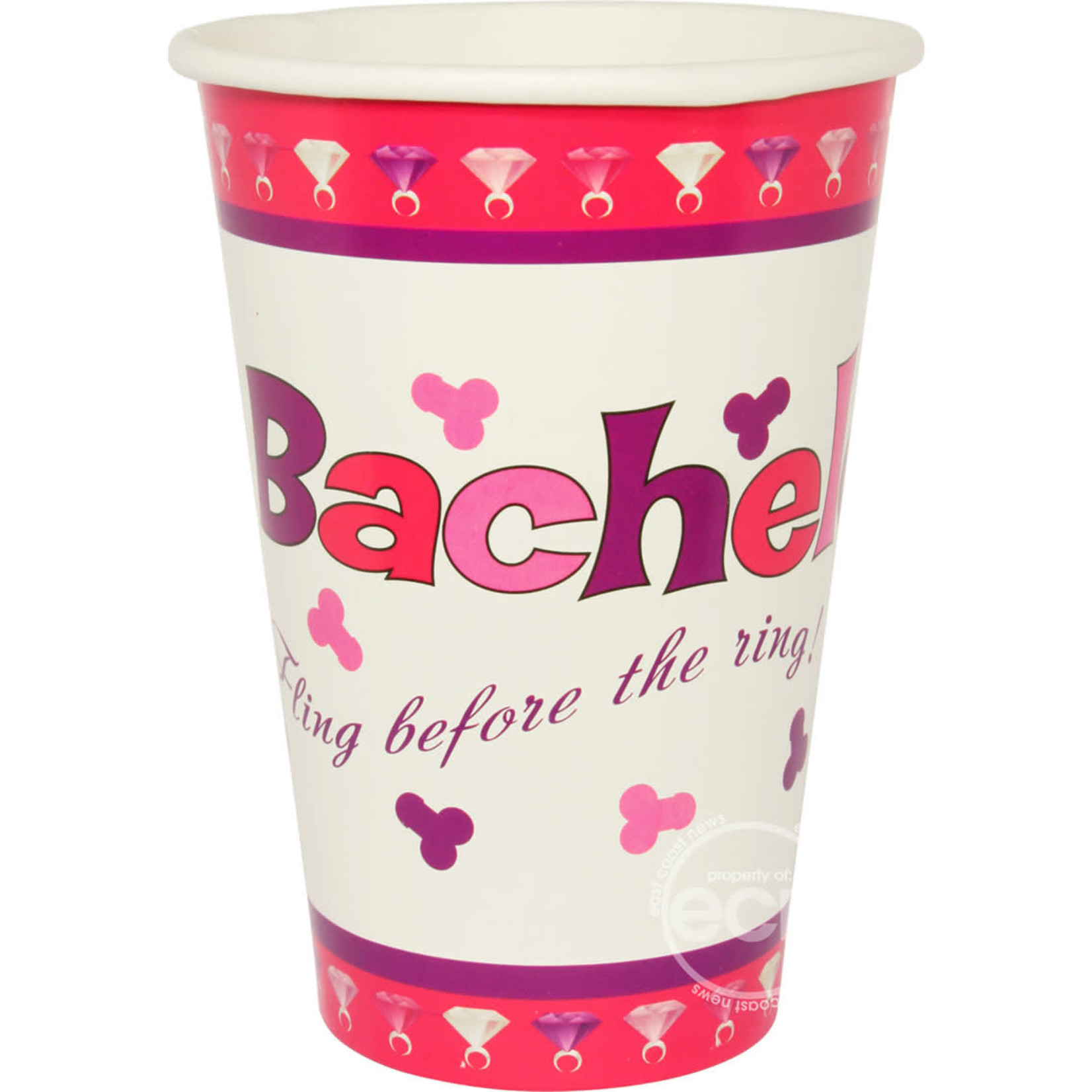 Bachelorette Party Cups 10 Per Pack