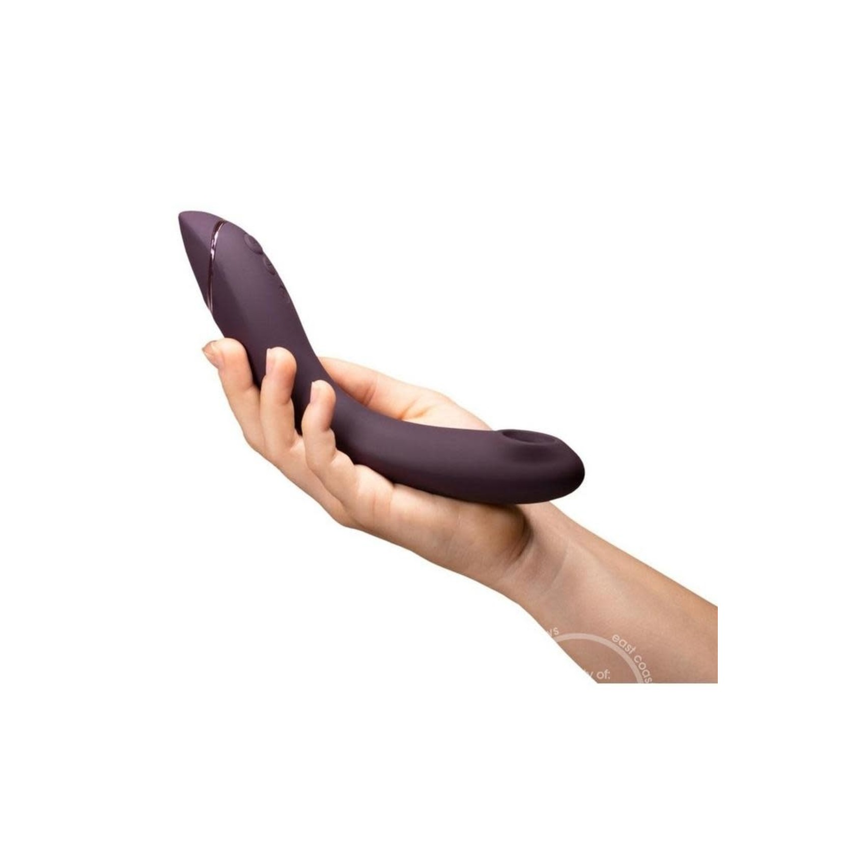 Womanizer OG Aubergine