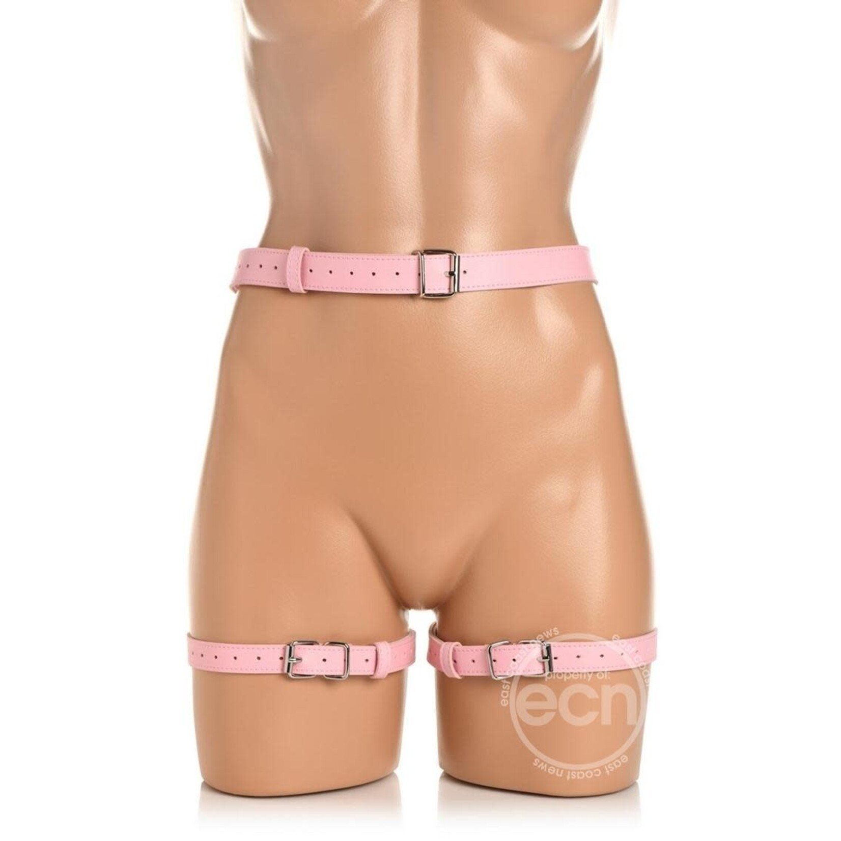 Strict Bondage Harness with Bows - XLarge/XXLarge - Pink