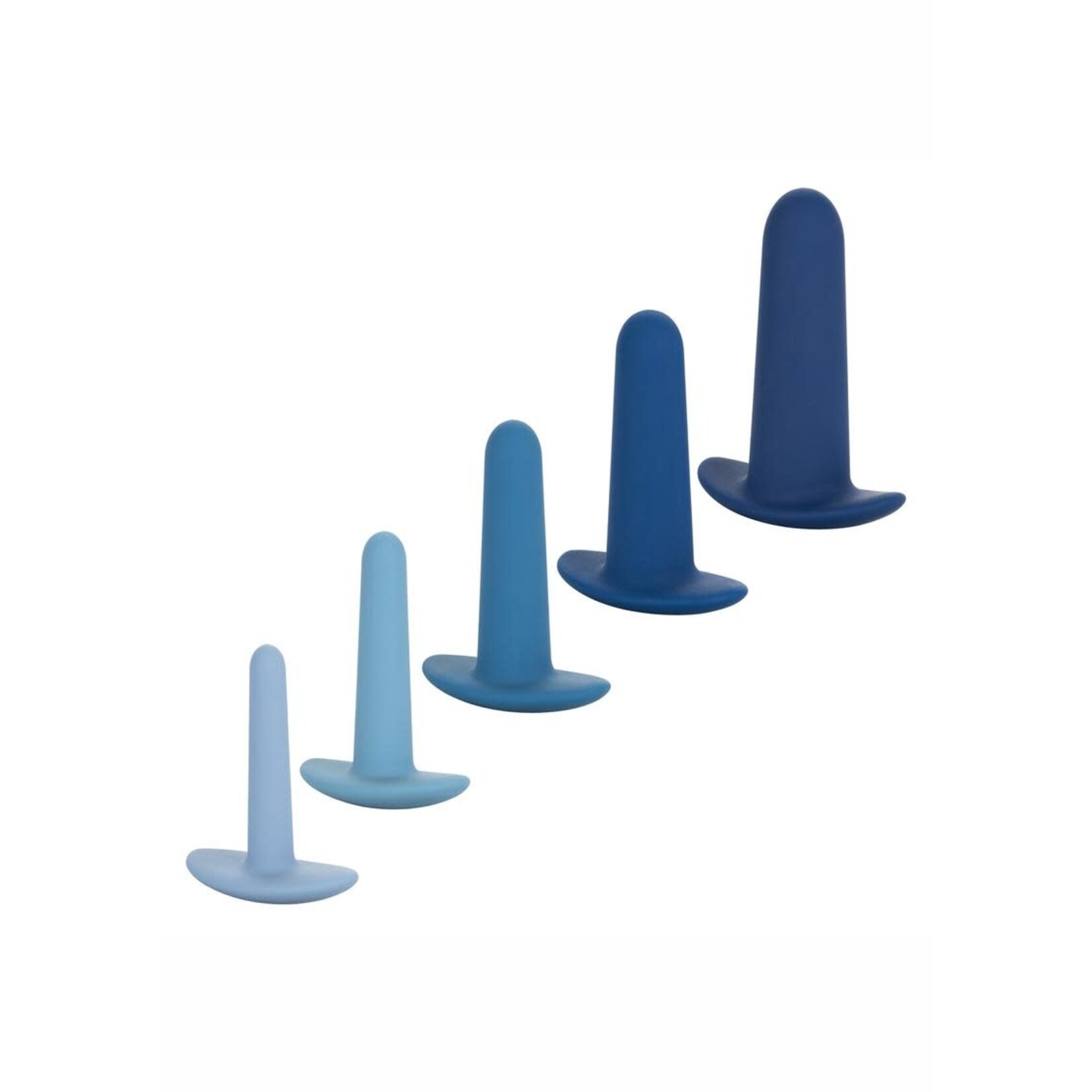 They-ology 5-Piece Wearable Anal Training Set