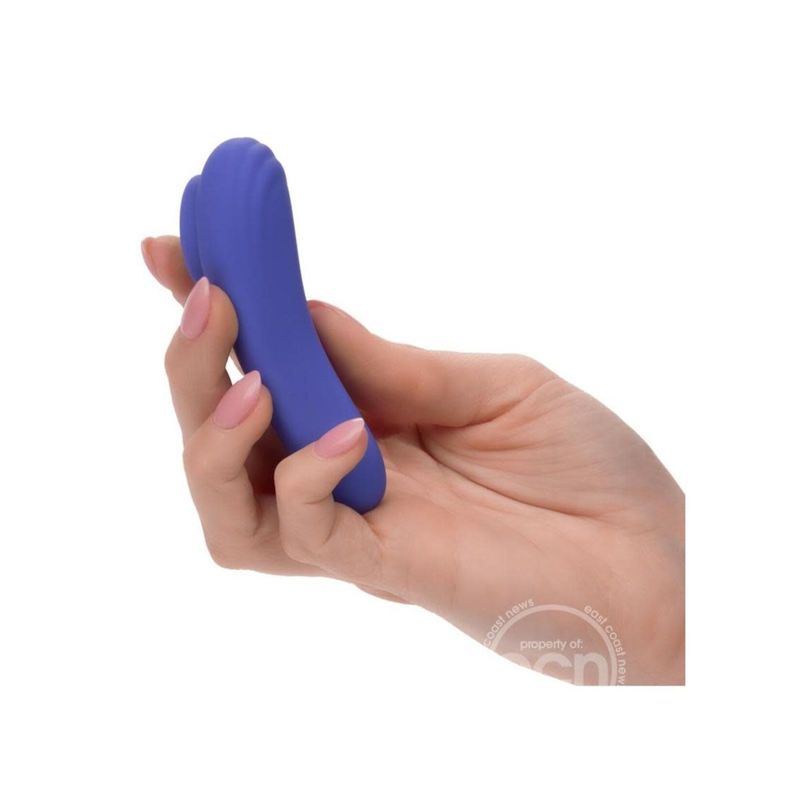 CalExotics Connect Panty Teaser Rechargeable Silicone App Compatible Vibrator with Remote - Purple