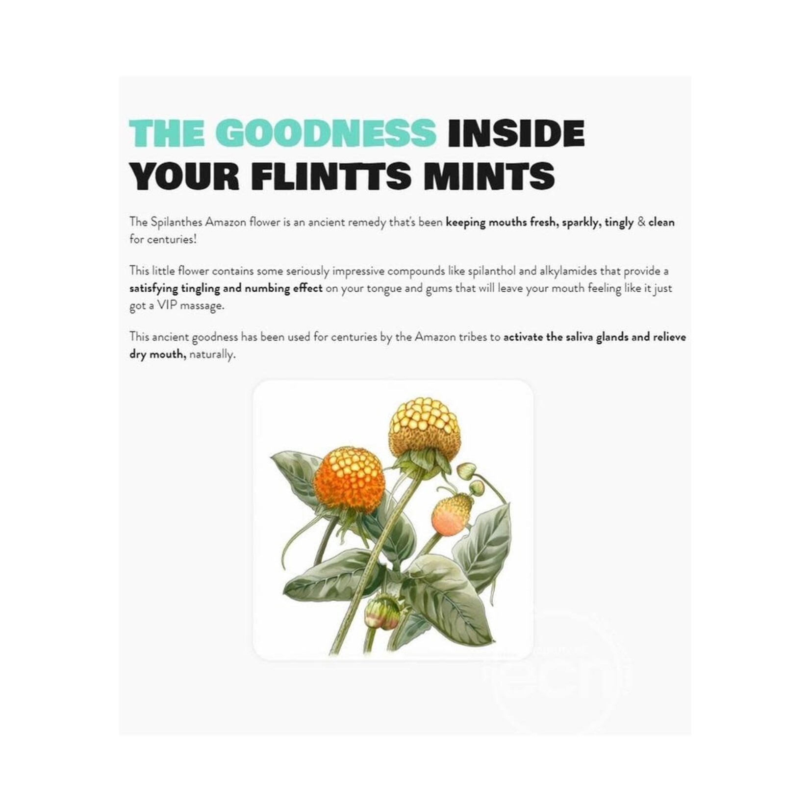 Flintts Mints Mouth Watering Oral Delights - Sour Tangerine (F Strength 175)