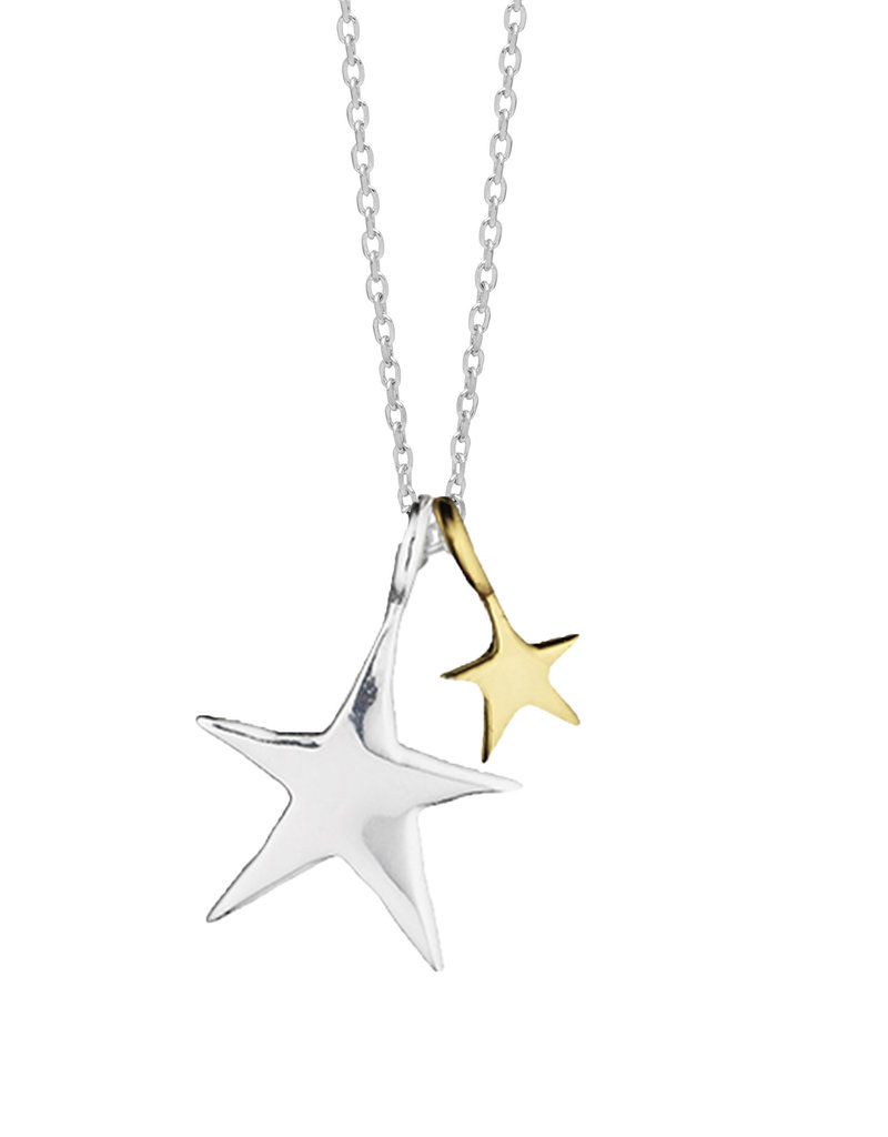 Estella Bartlett Estella B 2-Tone Double Star Silver Necklace