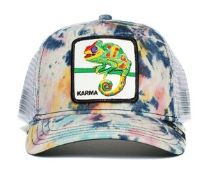 CULTURE CHAMELEON - GREEN - Homework 