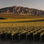 The Wine Bin Wines of Argentina - Wine Class - Friday August 26th 7pm