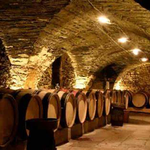 The Wine Bin Staff Selection • French Wine Tour