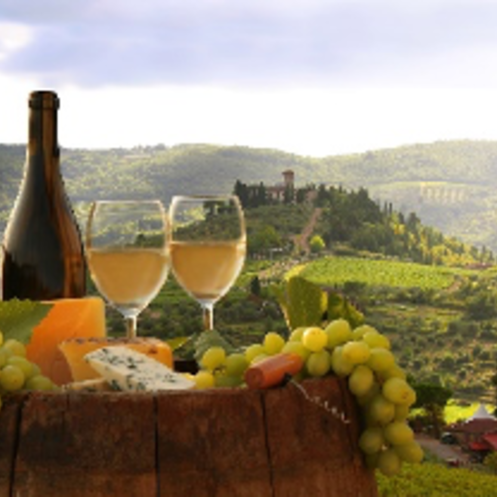 The Wine Bin Staff Selection • Italian Wine Tour
