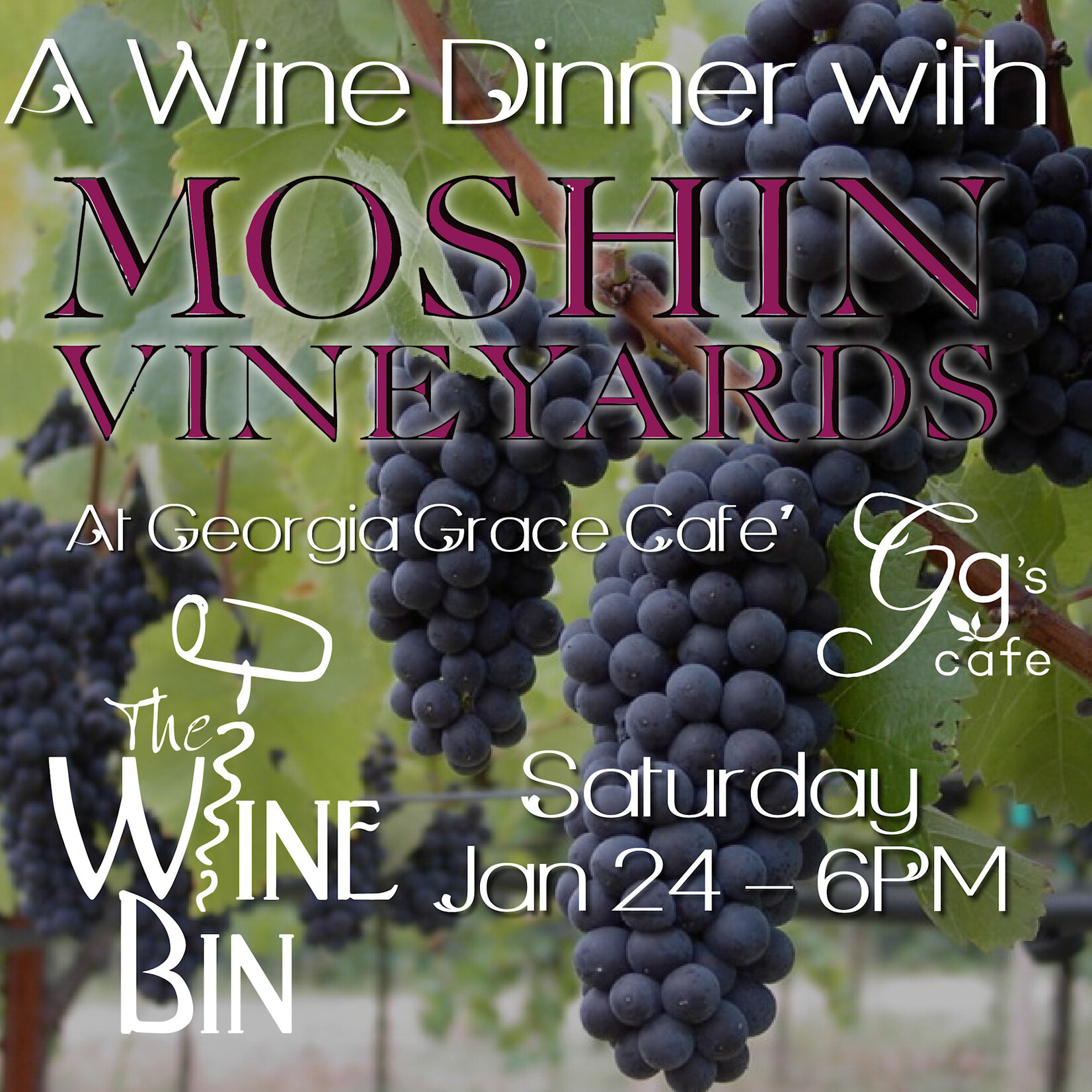 The Wine Bin Anniversary Wine Dinner with Moshin Wines •  1-24-2026 • 6PM
