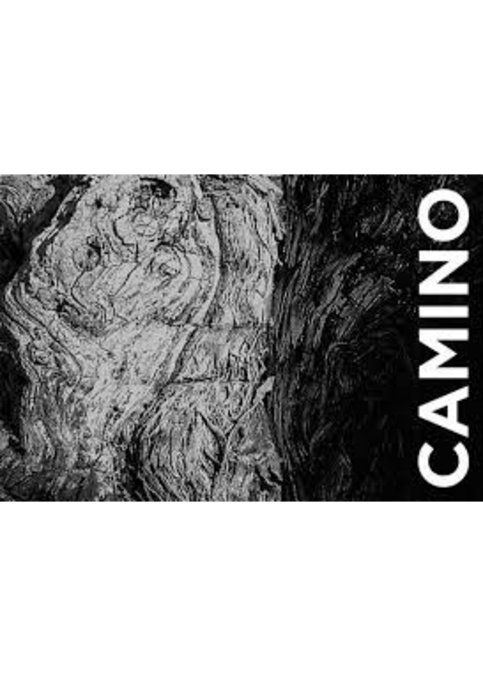Camino Cellars 2022 Cabernet Sauvignon 'En Foule' 750ml