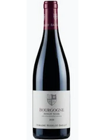 Domaine Hudelot-Baillet 2022 Bourgogne Pinot Noir 750ml