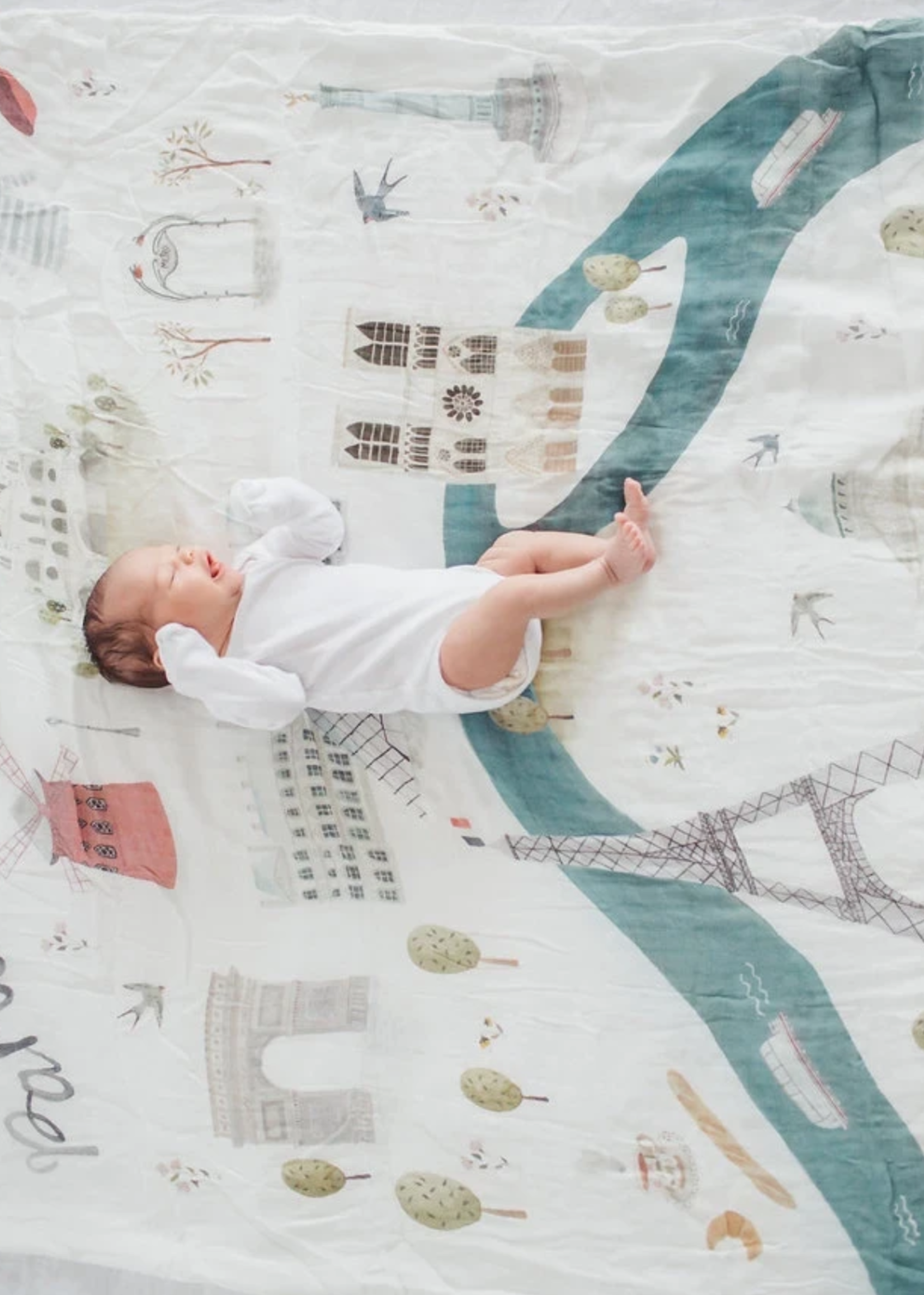 Elitaire Petite Muslin Swaddle - Paris