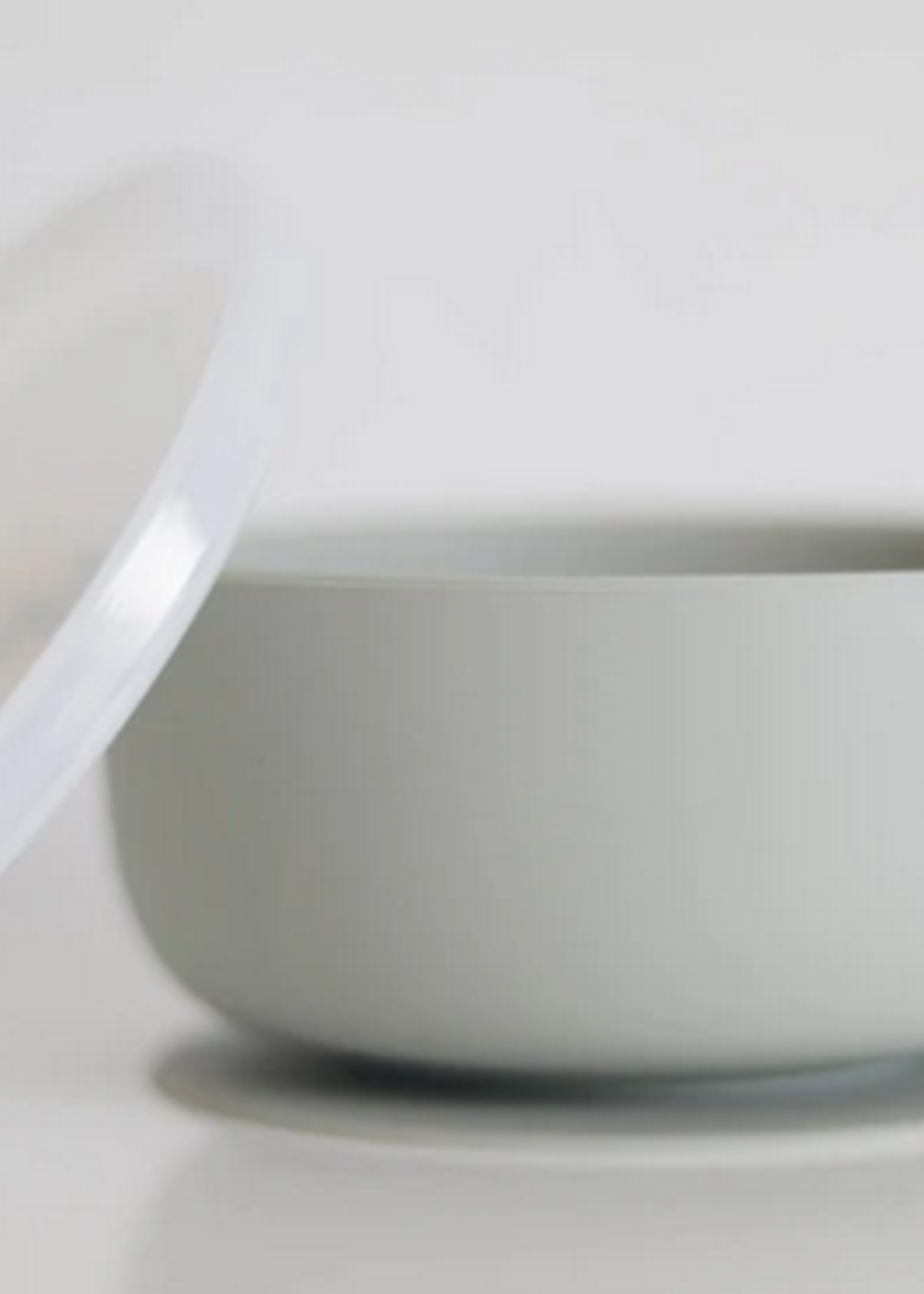 Elitaire Petite Sage Suction Bowl with Lid