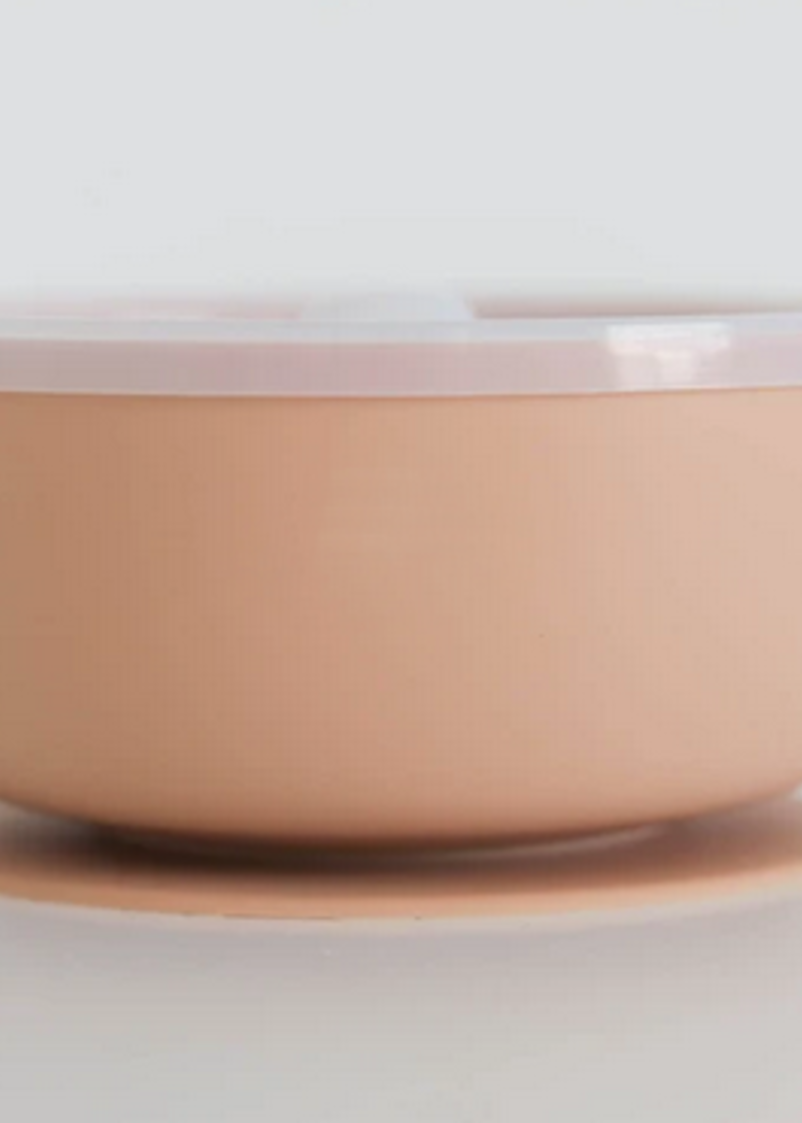 Elitaire Petite Peach Suction Bowl with Lid