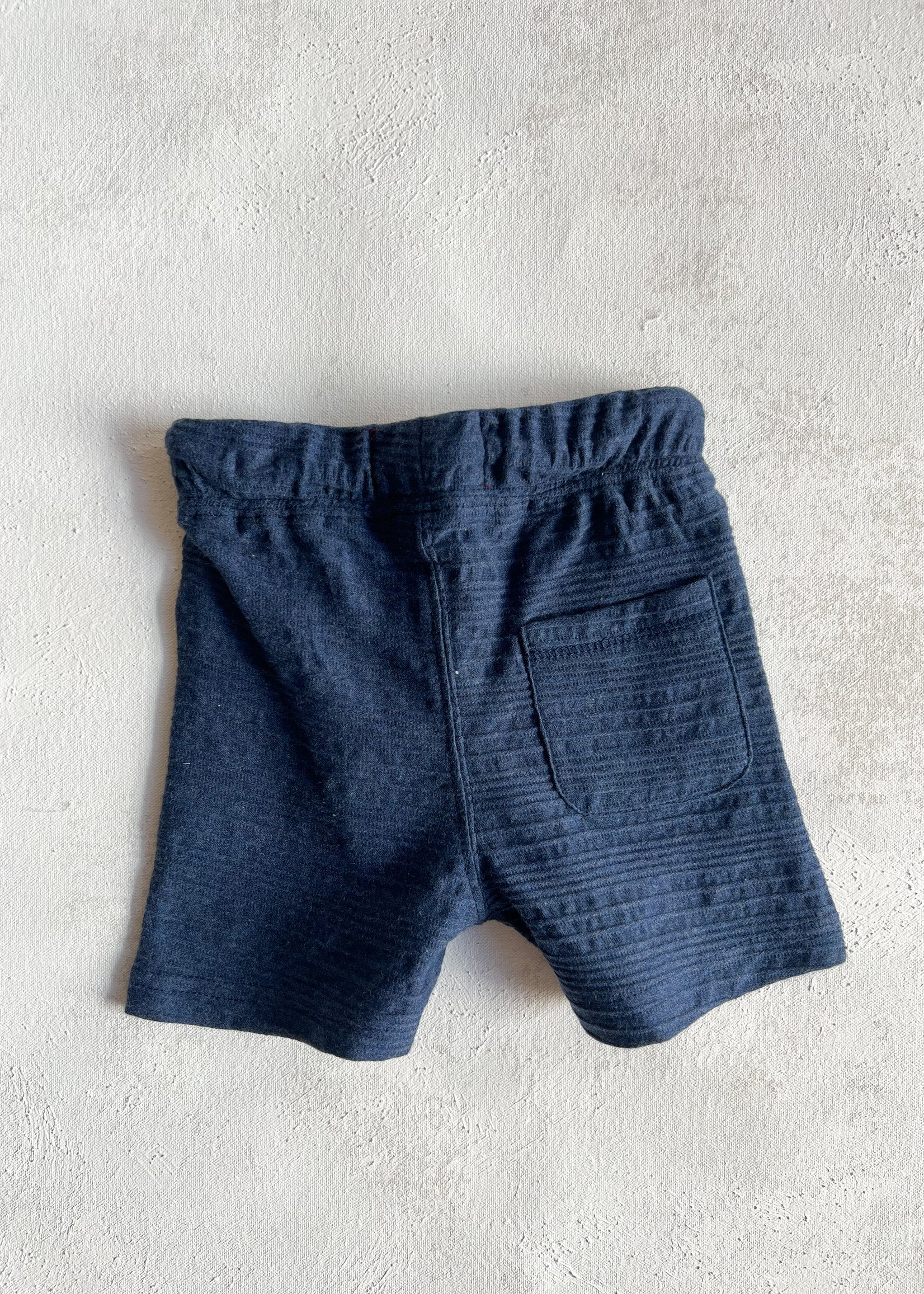 Elitaire Petite Blue Peter Shorts in Navy Ribbed