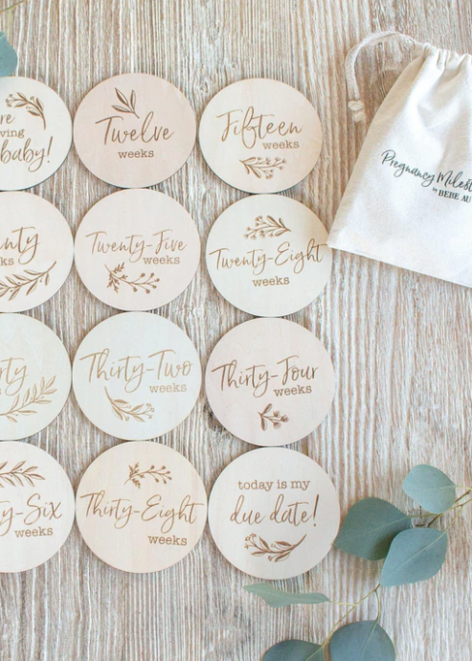 Elitaire Petite Pregnancy Milestone Moments Set