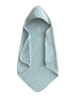 Elitaire Petite Organic Cotton Hooded Towel in Sea Mist