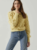 Elitaire Boutique Lexi Pom Sweater