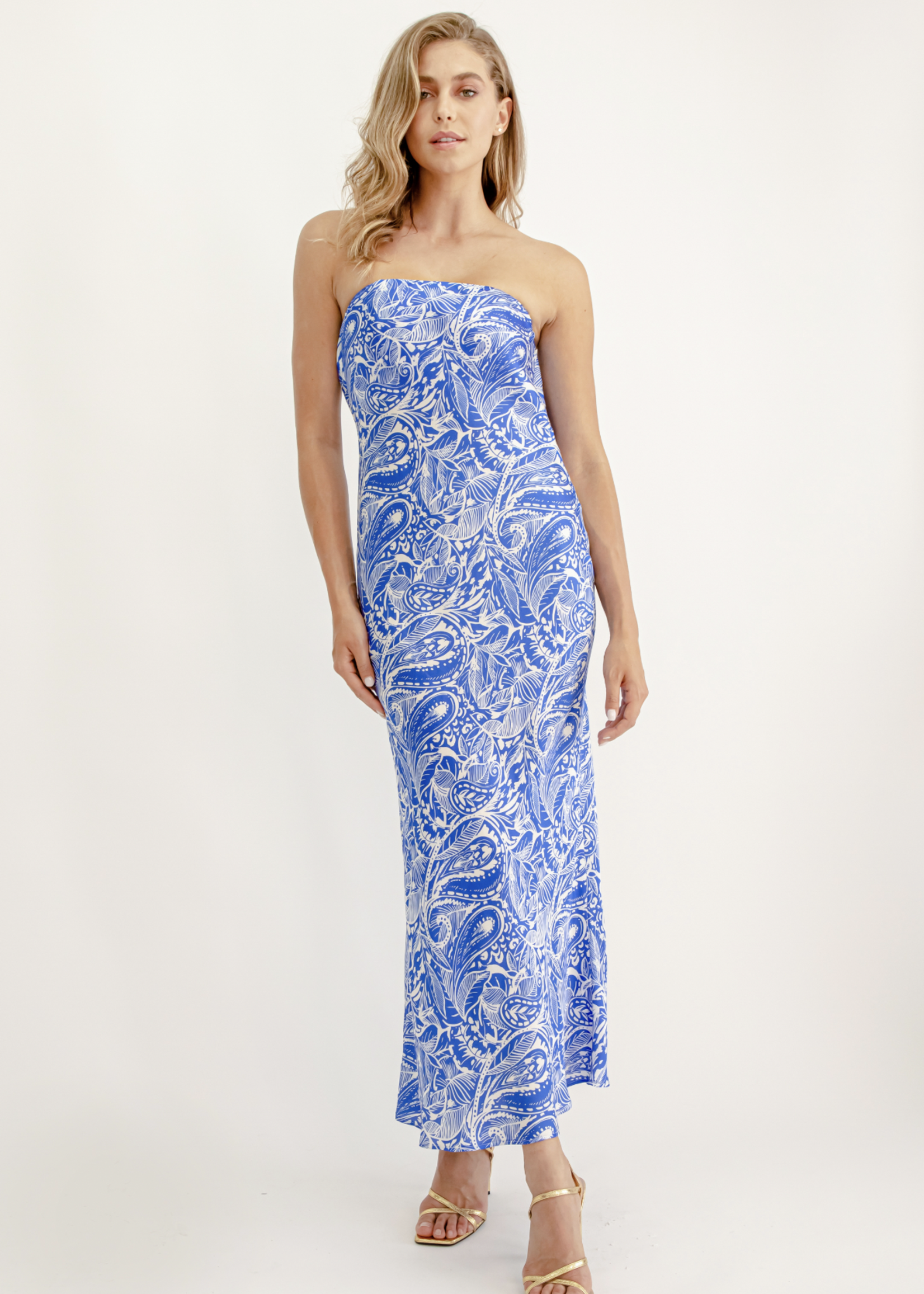 Elitaire Boutique Talia Maxi Dress in Blue