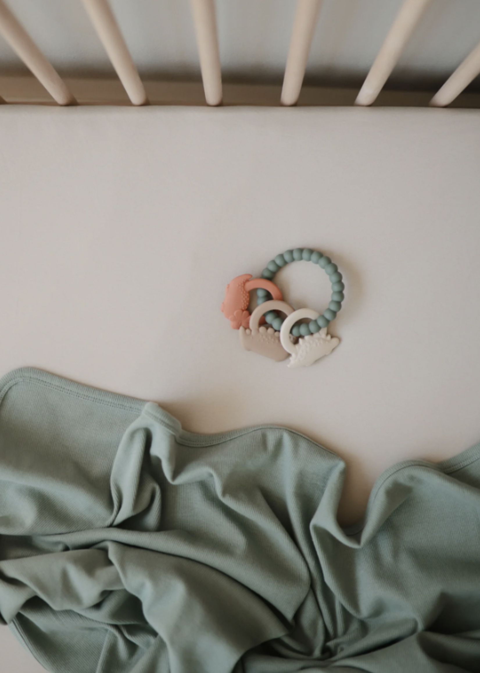 Elitaire Petite Dinos Teething Ring