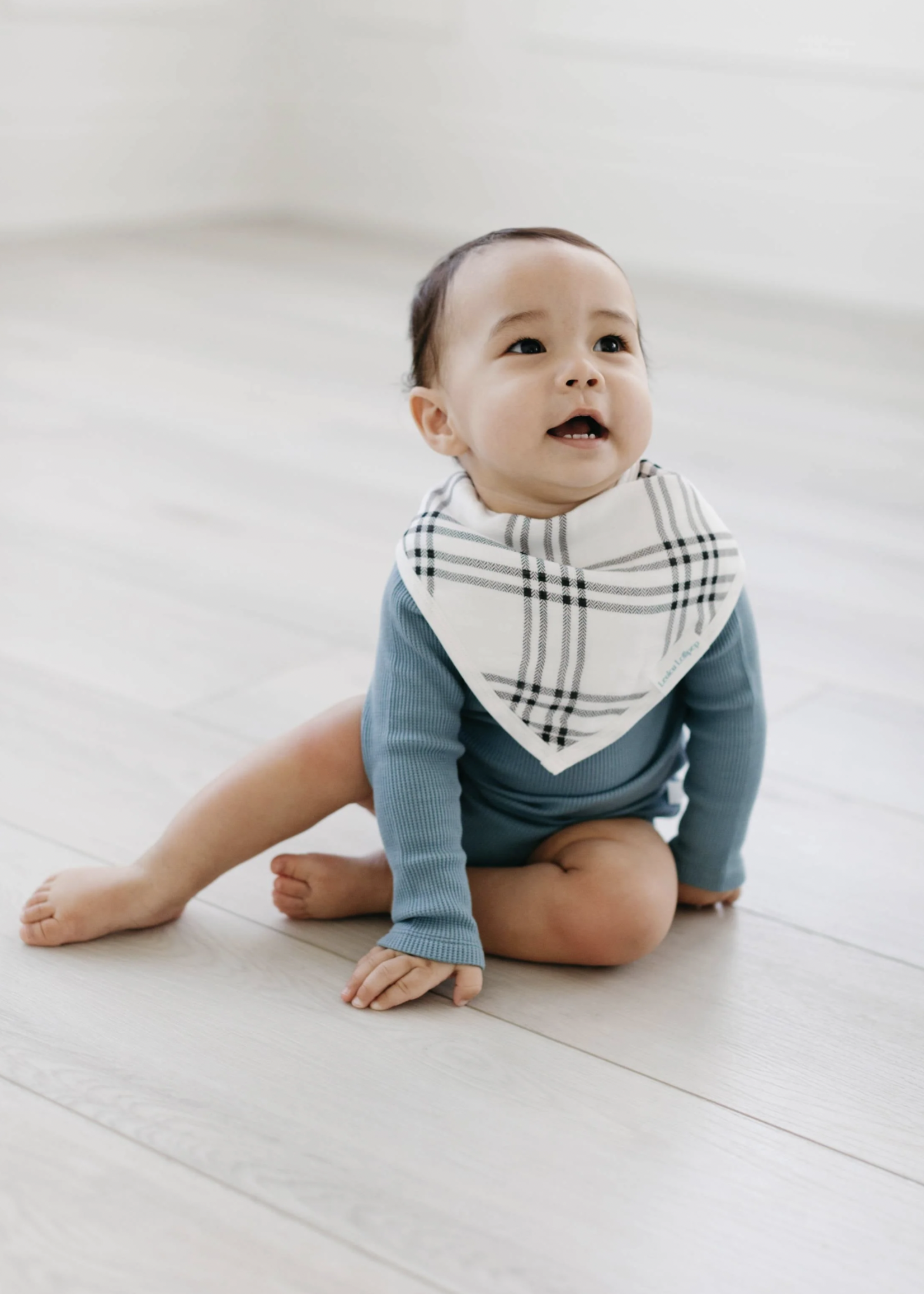 Elitaire Petite Bandana Bib Set - All Aboard