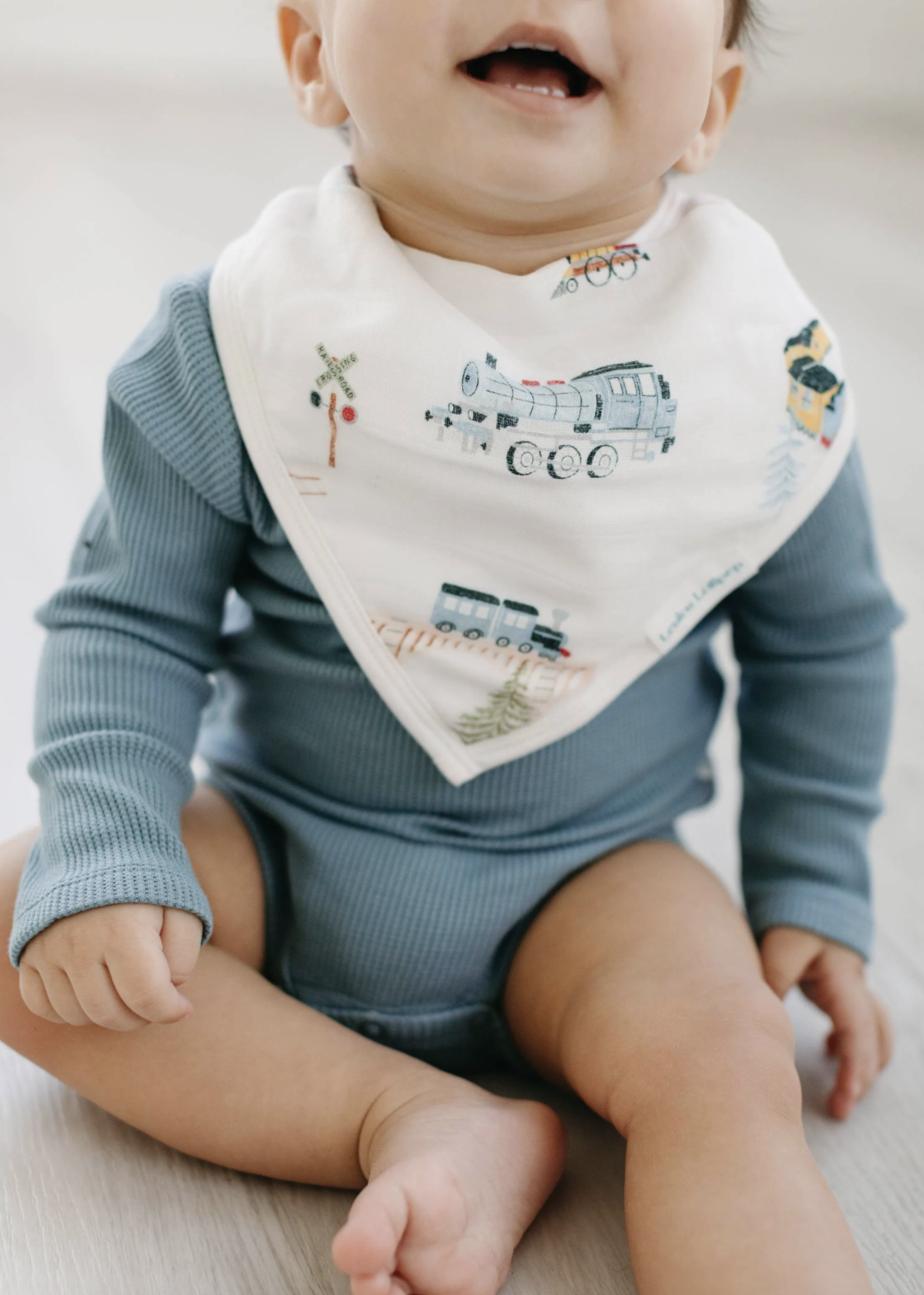 Elitaire Petite Bandana Bib Set - All Aboard