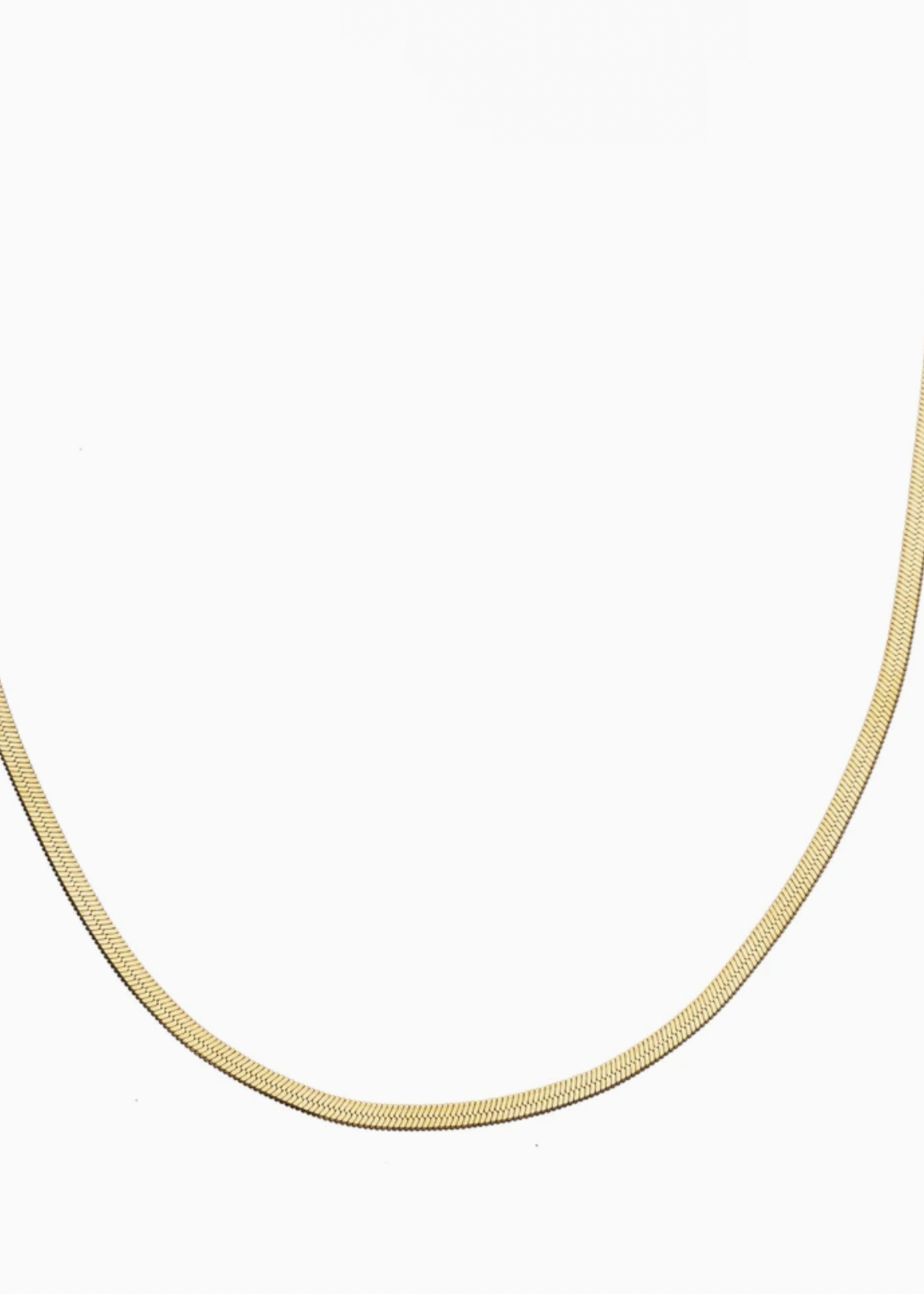 Elitaire Boutique Dainty Herringbone Necklace - Gold
