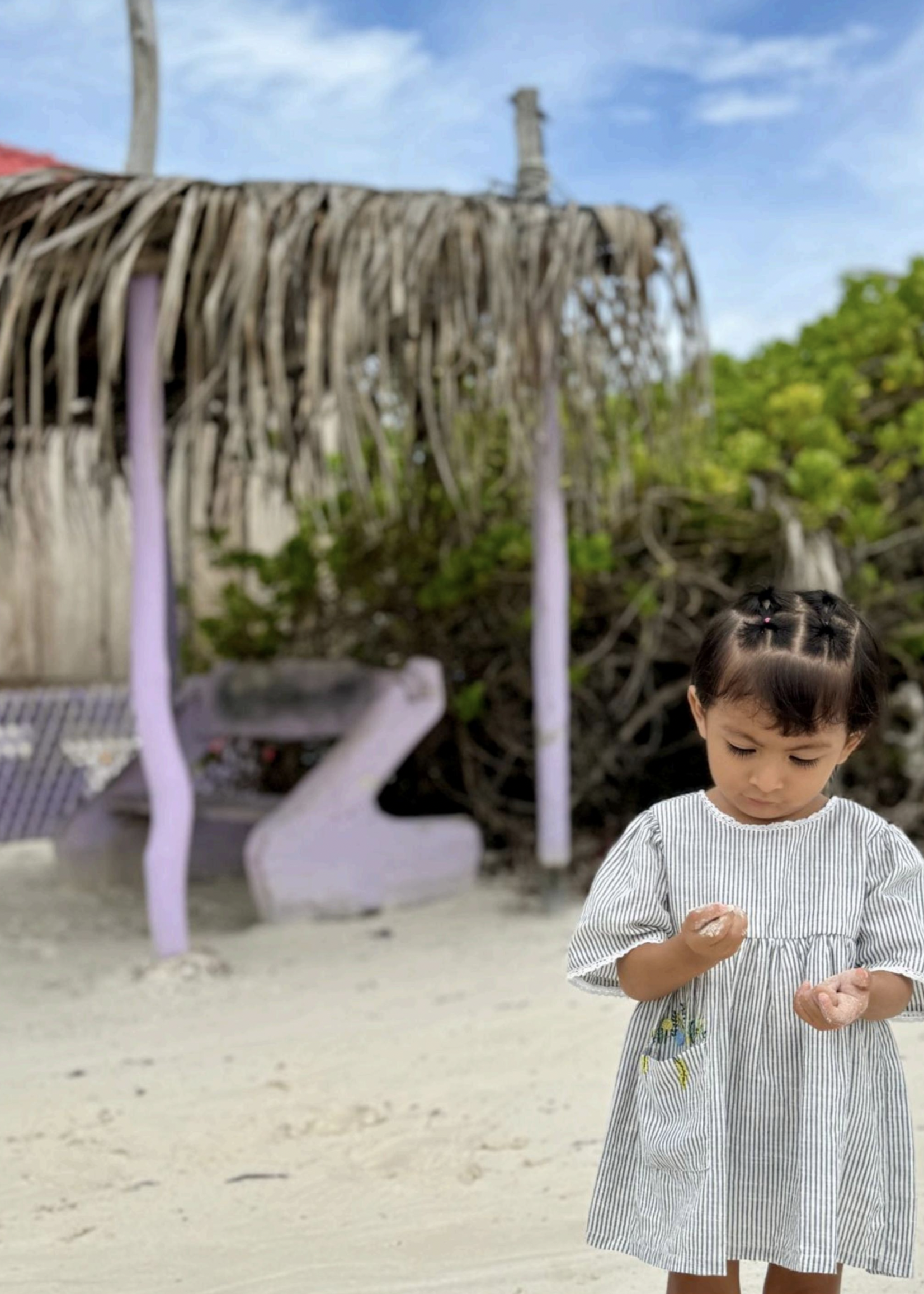 Elitaire Petite Flower Pocket Dress