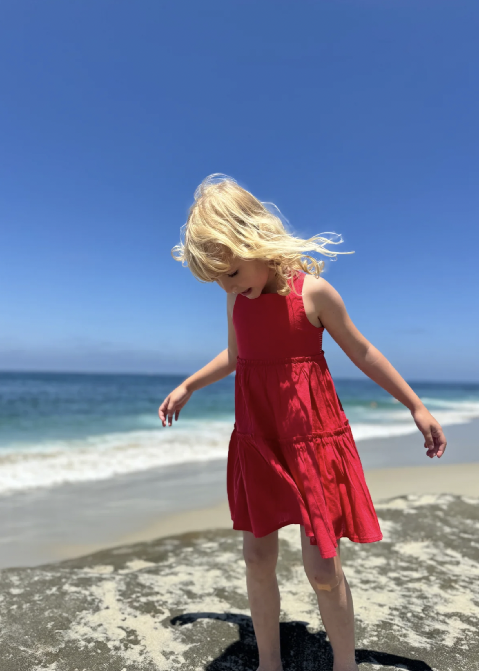 Elitaire Petite Maeve Dress in Red