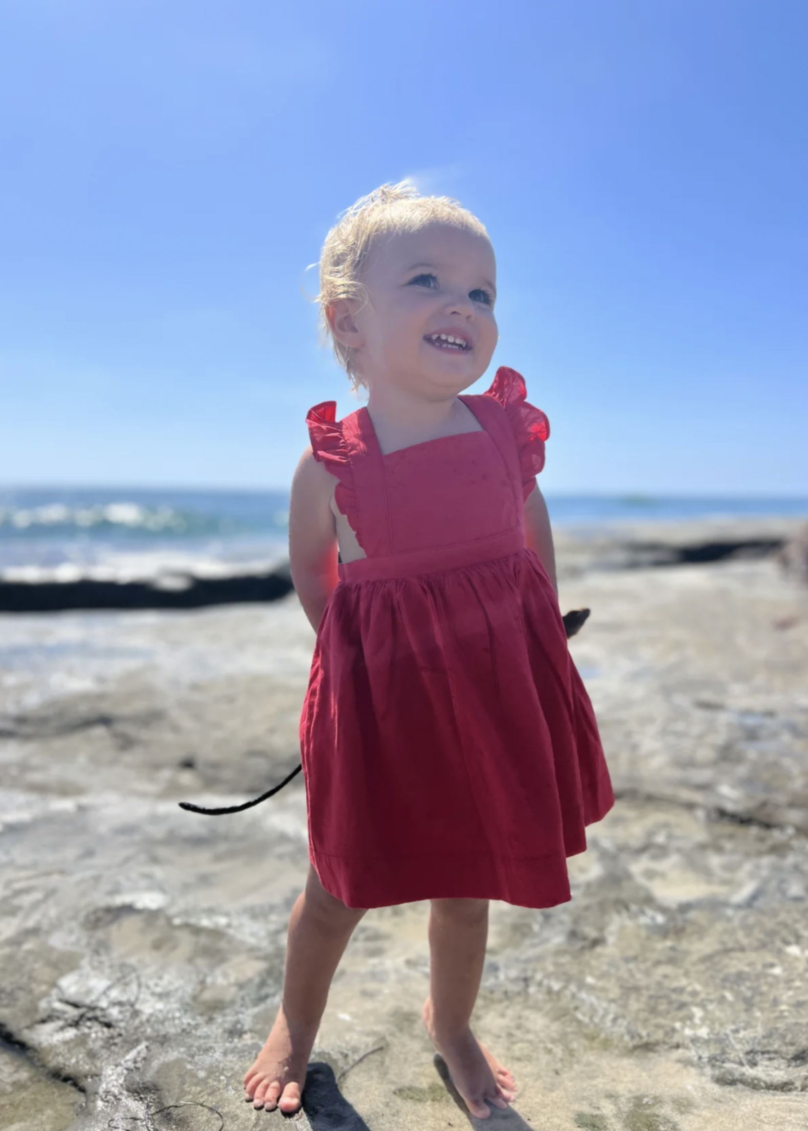Elitaire Petite Maeve Dress in Red